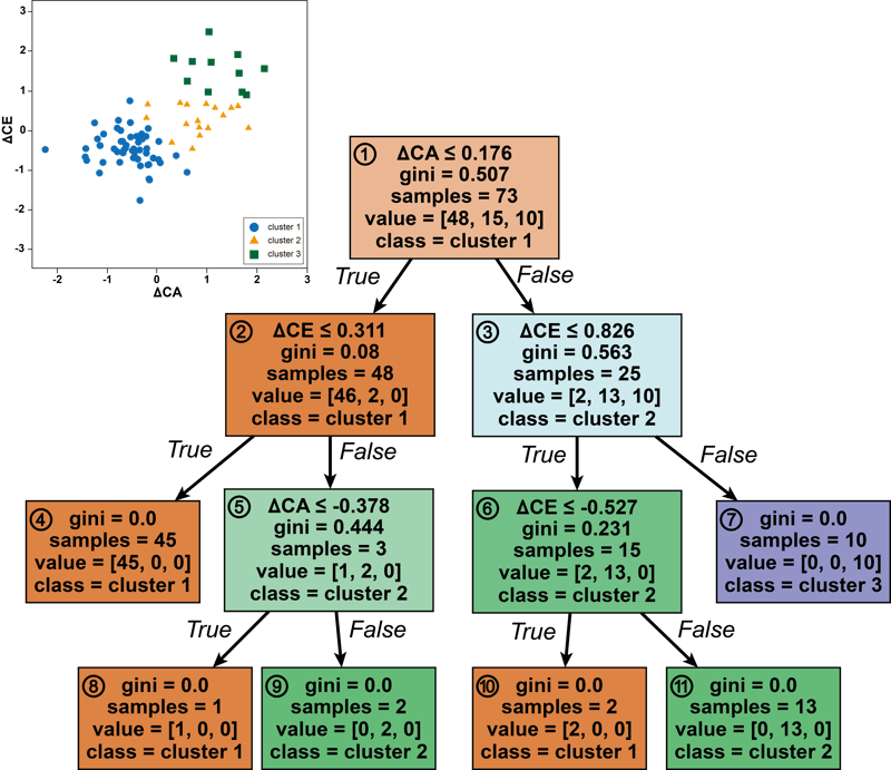 202409_decisiontrees_03