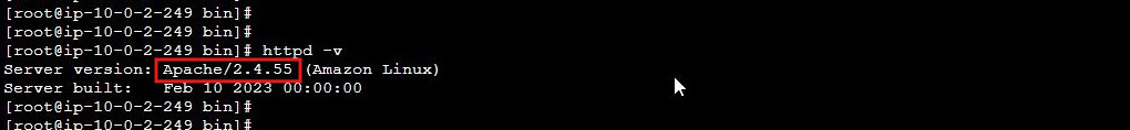 202409_patch_manager_02