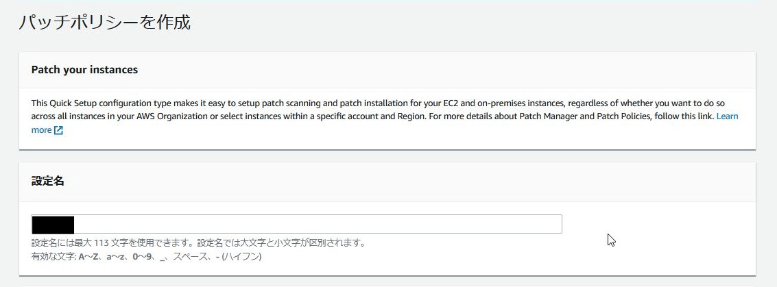 202409_patch_manager_04
