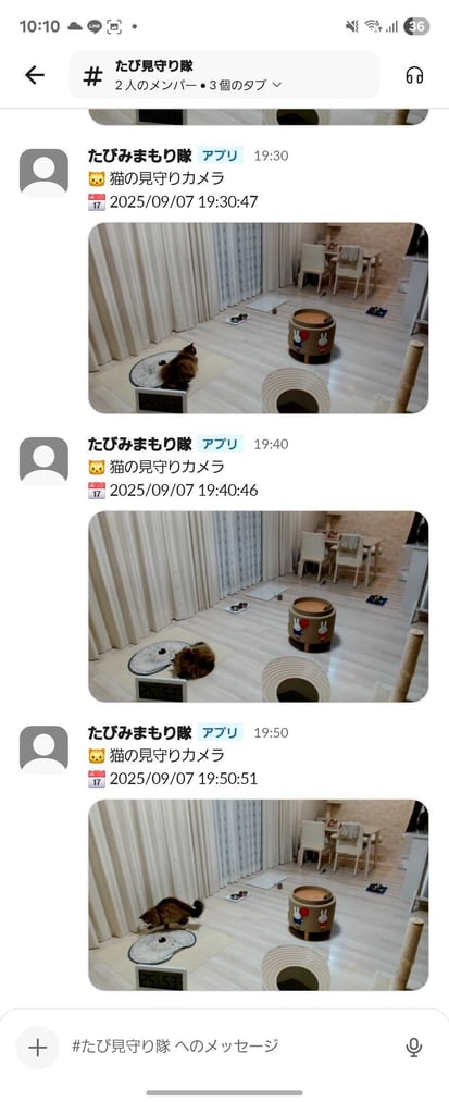 202512_ai-ide-kiro-pet-camera-project_09